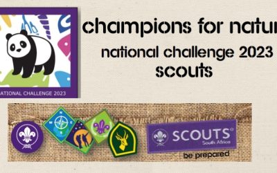 St Croix Sea Scouts do their bit for nature