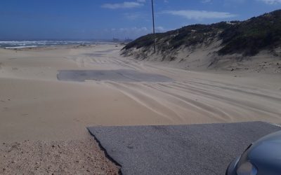Artificial sand dune at BWB beach causing more harm than good