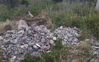 Overgrown vacant plots in BWB causing headaches for Municipality